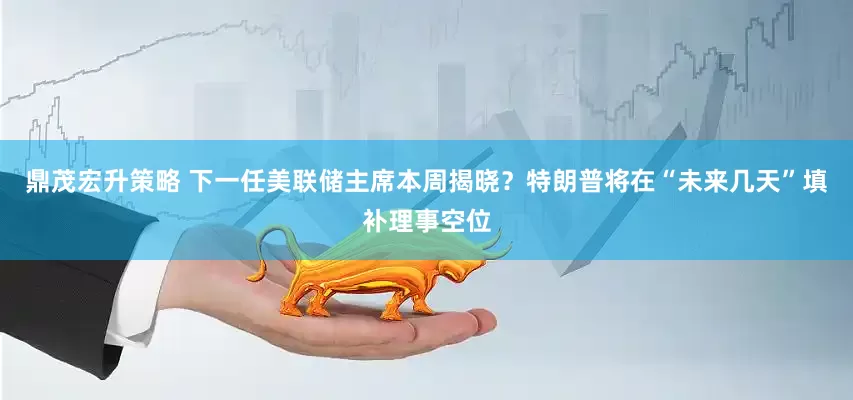 鼎茂宏升策略 下一任美联储主席本周揭晓？特朗普将在“未来几天”填补理事空位