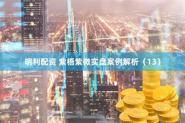 明利配资 紫梧紫微实盘案例解析（13）
