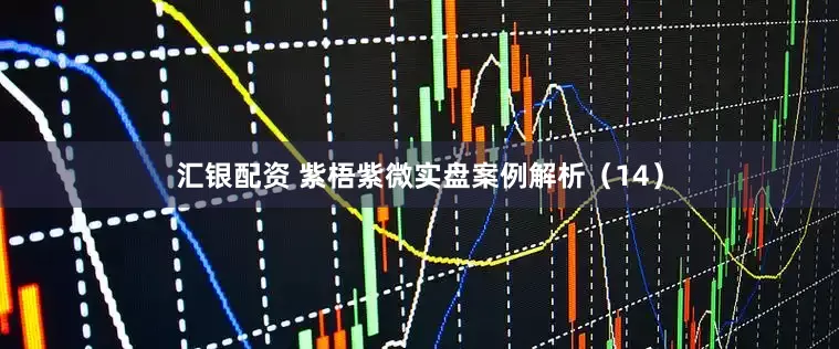 汇银配资 紫梧紫微实盘案例解析（14）