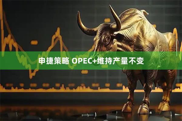 申捷策略 OPEC+维持产量不变